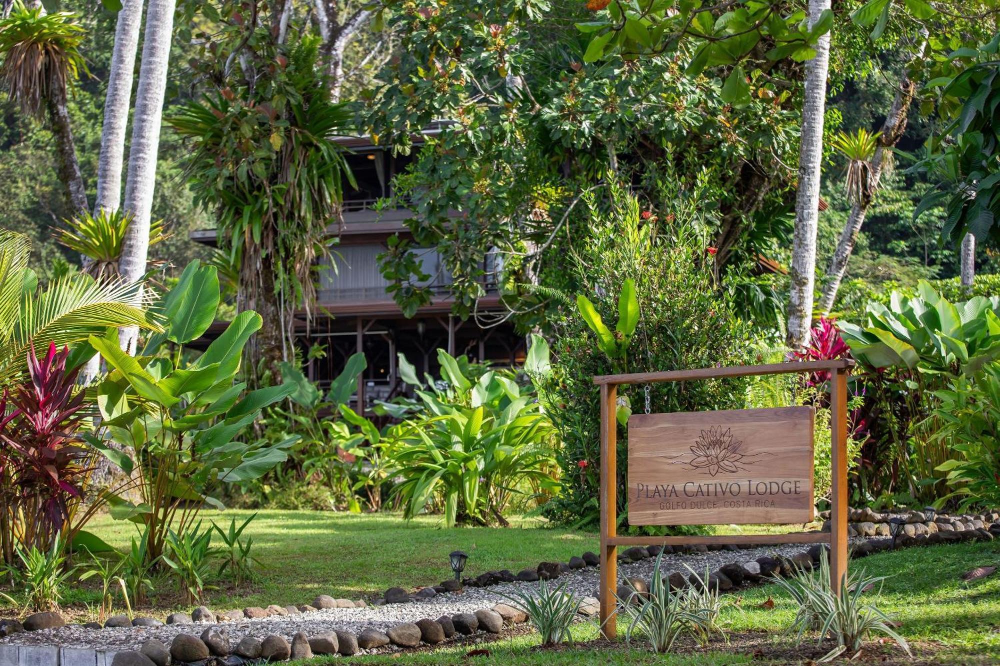 Playa Cativo Lodge Esquinas Exteriér fotografie